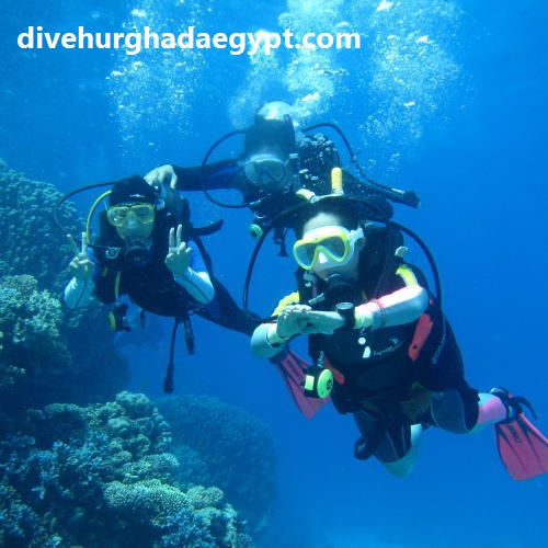 Dive Master Kurs