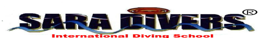 Red sea(紅海)(홍해 스쿠버 다이빙) diving(ダイビング) with SARA DIVERS 紅海ダイビングは日本語で