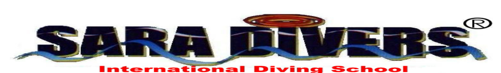 Go Dive Red Sea with SARA DIVERS